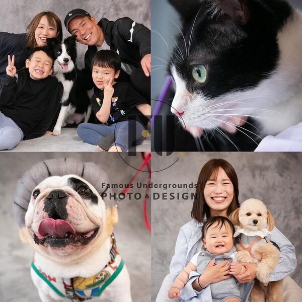 無事終了しました！🐶FU.ドッグリ-dog greeting-🐶 