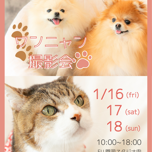 🎍新春🎍FU.ドッグリ-dog greeting- 