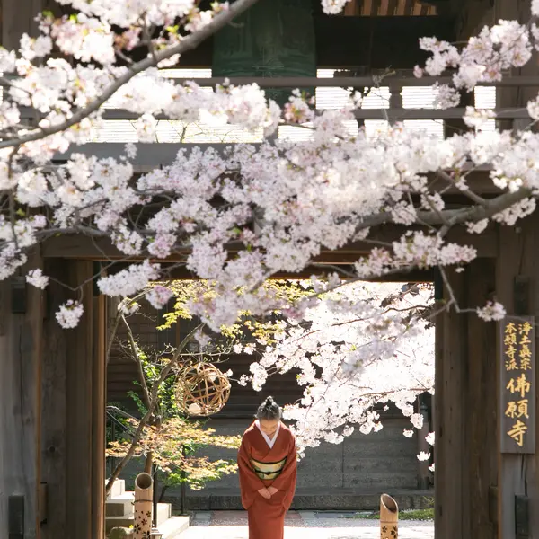 Portrait Photography 