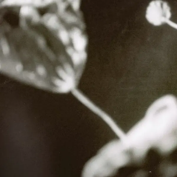 Abtract Photography by Akito 3