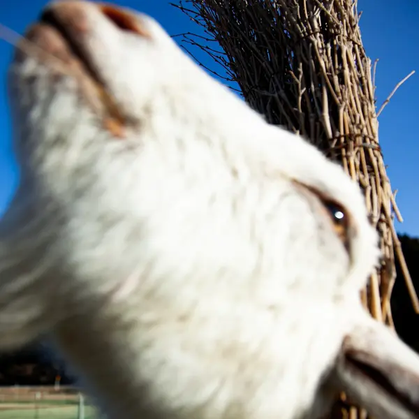 Image Photography by Akito 2 